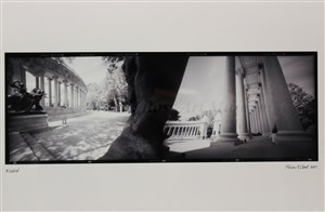 Image description is not available for 2007.127